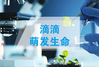 山东格林特肥料有限公司